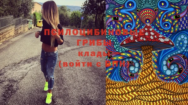 Альфа ПВП Кодинск