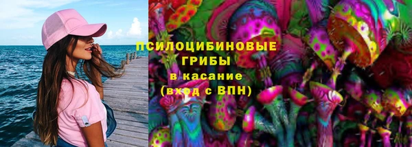 PSILOCYBIN Шали
