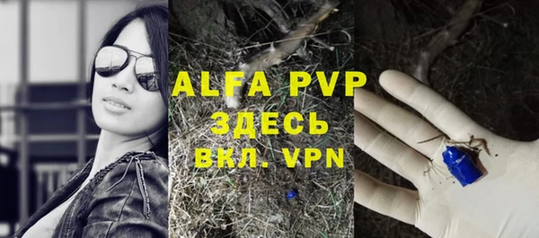 гашик Алексеевка