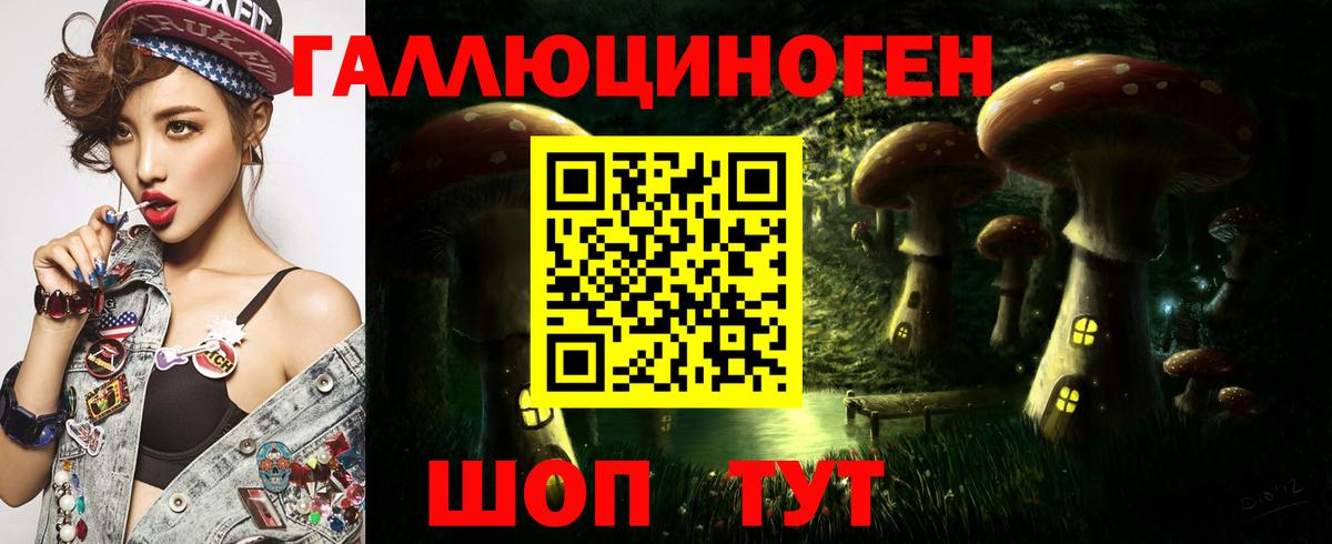 Псилоцибиновые грибы GOLDEN TEACHER  Вход с VPN  даркнет сайт  Новочеркасск 